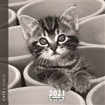 Calendrier Aquarupella Chats 2021 30 x 30 cm