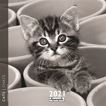 Calendrier Aquarupella Chats 2021 30 x 30 cm