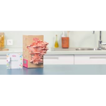 Kit à champignons Prêt à Pousser Pleurotes Roses - Potager d'intérieur -  Achat & prix