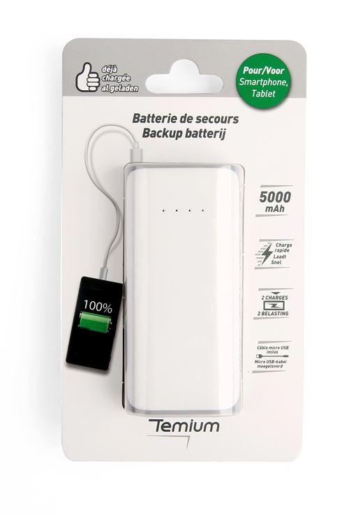 Intenso XC10000 Powerbank (batterie Supplémentaire) 10000 MAh LiPo USB