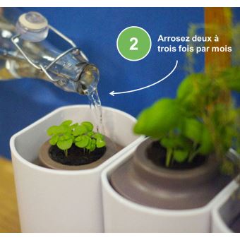 PYEF CRAFTS Kit Jardinage Potager Intérieur 2 Pièces XL - Prêt à Pousser Avec 6 Variétés De Graines