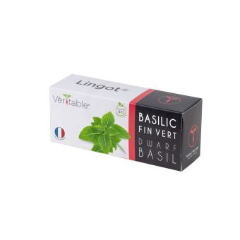 Lingot Véritable Basilic Fin Vert