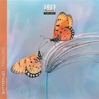 CALENDRIER 2023 16X16 PAPILLONS