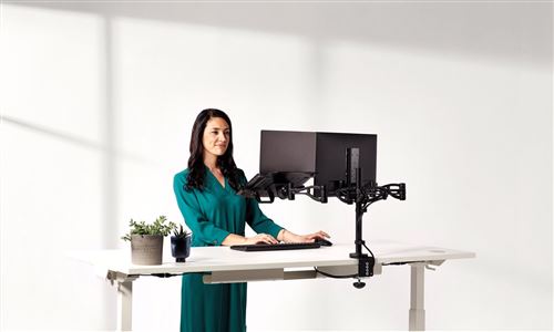 Ergotron MX Desk Mount LCD Monitor Arm, Support de moniteur Argent, 13,6 kg, 76,2 cm (30), 75 x