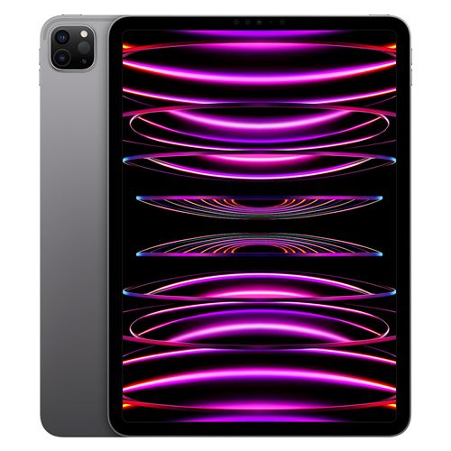 Apple iPad Pro 11" 512 Go Gris sidéral Wi-Fi 4ème génération 2022 Reconditionné par Lagoona