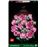LEGO ® Botanicals 10374 Rosa Rosenstrauss