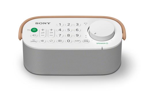 Enceinte TV amplifiée Wifi Sony SRS-LSR200 Blanc