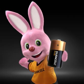 Pack de 2 piles Duracell C Plus LR14