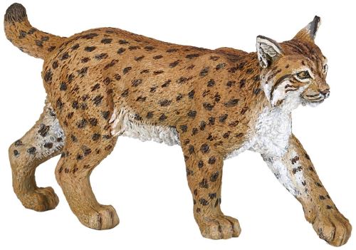 Papo Lynx - vue 10
