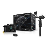 Pack Panasonic Lumix GH5 Hybride Camera Zwart + Lens G Vario 12-60mm f/3.5-5.6 Power O.I.S + SD-Kaart 32GB + 2de batterij + DJI Ronin-S Kit Essentials Stabilisator