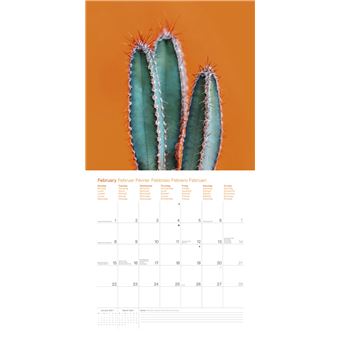 Calendrier TeNeues Colour Splash 2021 30 x 30 cm