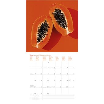 Calendrier TeNeues Colour Splash 2021 30 x 30 cm