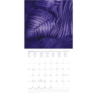 Calendrier TeNeues Colour Splash 2021 30 x 30 cm