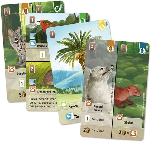 Forêt Mixte - Extension Exploration - Jeux de Société - Gestion - Jeu Forêt Mixte - Extension Exploration - Jeux de Société - Gestion - Jeu