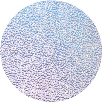 Agenda journalier Exacompta 2022 2023 Forum Color Ariel Modèle aléatoire