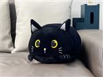 Coussin Itotal Cat Noir