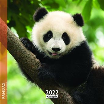 Calendrier Pictura 2022 Pandas 16 x 16 cm