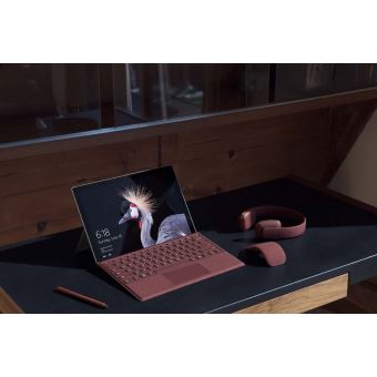 Souris Microsoft Arc Edition Surface Platine - Fnac.ch - Accessoires  Tablette
