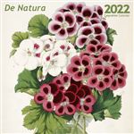 Calendrier Désastre 2022 30 x 30 cm De natura