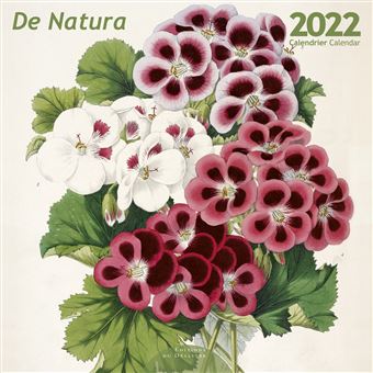 Calendrier Désastre 2022 30 x 30 cm De natura