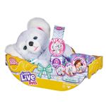 Peluche interactive Little Live Pets Koala Cozy Dozys