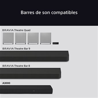 BRAVIA Theatre Sub 7 SA-SW7 100W