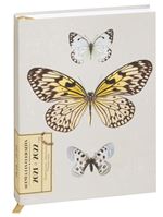 Agenda journalier Exacompta 2021 2022 Forum Curiosités