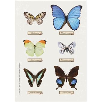 Agenda journalier Exacompta 2021 2022 Forum Curiosités