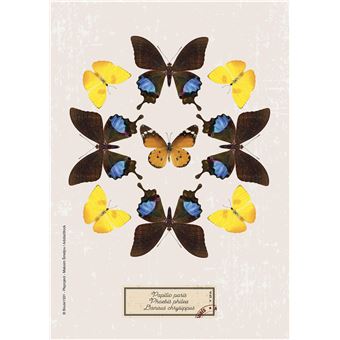 Agenda journalier Exacompta 2021 2022 Forum Curiosités