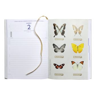 Agenda journalier Exacompta 2021 2022 Forum Curiosités