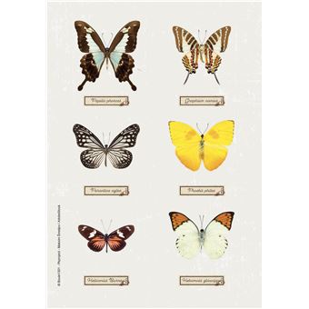 Agenda journalier Exacompta 2021 2022 Forum Curiosités