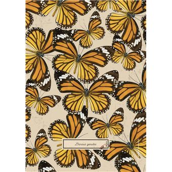 Agenda journalier Exacompta 2021 2022 Forum Curiosités