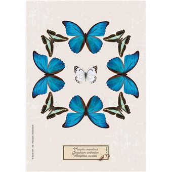 Agenda journalier Exacompta 2021 2022 Forum Curiosités