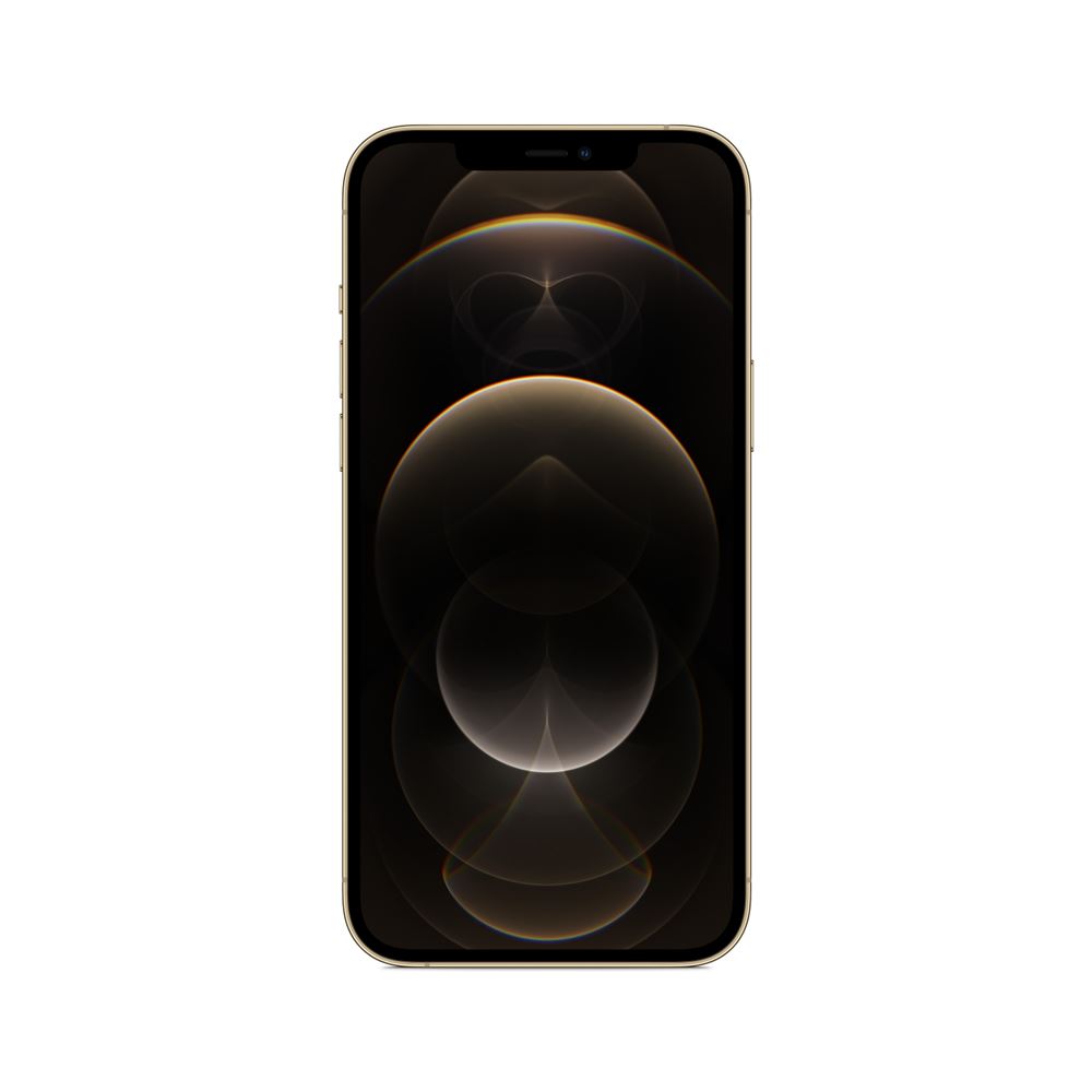 Apple-iPhone-12-Pro-Max-6-7-