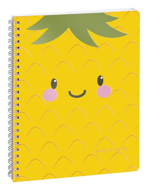Cahier de textes Exacompta 2021 2022 Tutti Frutti Modèle aléatoire