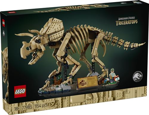 Les fossiles de dinosaure: le tricératops - vue 3