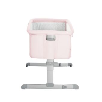 cododo next to me rose