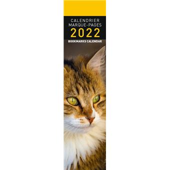 Calendrier Pictura 2022 Marque-Page Chats