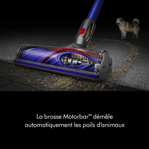 Aspirateur Balai Dyson V11 Aspirateur Dyson Prix Dyson V11 Prix