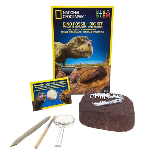 Kit Livro de Dinossauro e de Fóssil de Dente de Dinossauro para Escavar,  National Geographic - Dular