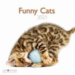 Calendrier TeNeues Funny Cats 2021 30 x 30 cm