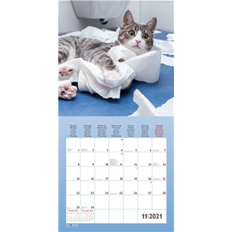 Calendrier TeNeues Funny Cats 2021 30 x 30 cm