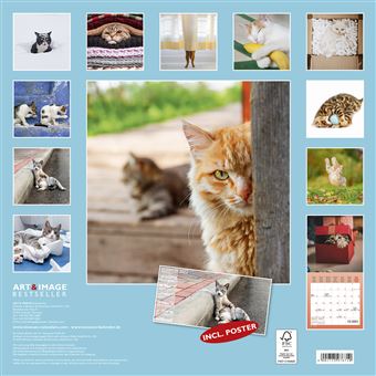 Calendrier TeNeues Funny Cats 2021 30 x 30 cm