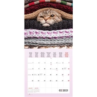 Calendrier TeNeues Funny Cats 2021 30 x 30 cm