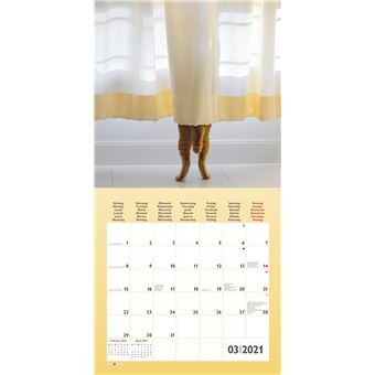 Calendrier TeNeues Funny Cats 2021 30 x 30 cm