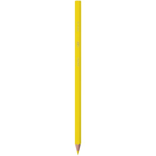 Etui 24 crayons couleurs Evolution Bic