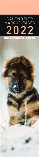 Calendrier Pictura 2022 Marque-Page Chiots