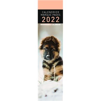 Calendrier Pictura 2022 Marque-Page Chiots