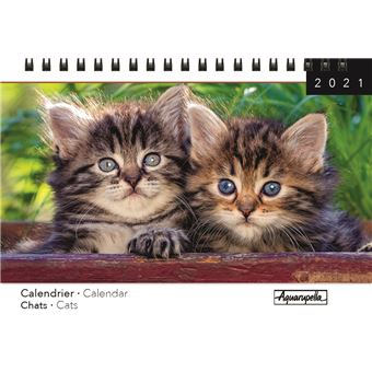 Calendrier de bureau Aquarupella Chats 2021
