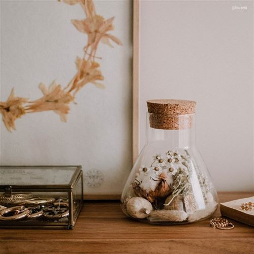 elfbar nachfüll pod läuft aus Fiole en verre Fleurs séchées et coton - Plantes graines et bulbes - Achat  & prix